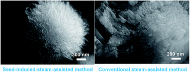 Graphical abstract: Synthesis of a multi-branched dandelion-like SAPO-11 by an in situ inoculating seed-induced-steam-assisted conversion method (SISAC) as a highly effective hydroisomerization support