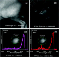 Graphical abstract: Highly efficient NIR to NIR upconversion of ZnMoO4:Tm3+,Yb3+ phosphors and their application in biological imaging of deep tumors