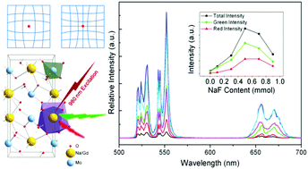 Graphical abstract: A novel anion doping strategy to enhance upconversion luminescence in NaGd(MoO4)2:Yb3+/Er3+ nanophosphors