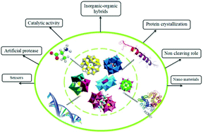 Graphical abstract: A survey of the different roles of polyoxometalates in their interaction with amino acids, peptides and proteins