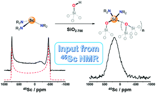 Graphical abstract: On the use of solid-state 45Sc NMR for structural investigations of molecular and silica-supported scandium amide catalysts