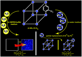 Graphical abstract: Extraordinary sensitivity for H2S and Fe(iii) sensing in aqueous medium by Al-MIL-53-N3 metal–organic framework: in vitro and in vivo applications of H2S sensing