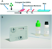 Graphical abstract: Point-of-care diagnostics to improve maternal and neonatal health in low-resource settings