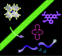 Graphical abstract: Perovskite quantum dots encapsulated in electrospun fiber membranes as multifunctional supersensitive sensors for biomolecules, metal ions and pH