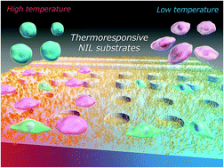 Graphical abstract: Micro/nano-imprinted substrates grafted with a thermoresponsive polymer for thermally modulated cell separation