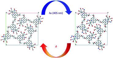 Graphical abstract: Understanding solid-state photoswitching in [Re(OMe2-bpy)(CO)3(η1-NO2)] crystals via in situ photocrystallography