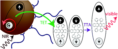 Graphical abstract: Using lead chalcogenide nanocrystals as spin mixers: a perspective on near-infrared-to-visible upconversion