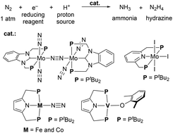 Graphical abstract: Development of catalytic nitrogen fixation using transition metal–dinitrogen complexes under mild reaction conditions