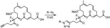 Graphical abstract: Synthesis and biological evaluation of fluorinated analogues of ripostatin A