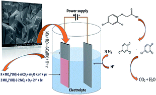 Graphical abstract: Parameter optimization and degradation mechanism for electrocatalytic degradation of 2,4-diclorophenoxyacetic acid (2,4-D) herbicide by lead dioxide electrodes