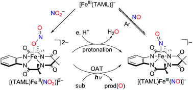 Graphical abstract: A mononuclear nonheme {FeNO}6 complex: synthesis and structural and spectroscopic characterization