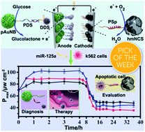 Graphical abstract: A glucose/O2 fuel cell-based self-powered biosensor for probing a drug delivery model with self-diagnosis and self-evaluation