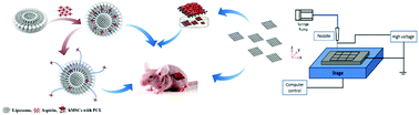 Graphical abstract: A hybrid 3D-printed aspirin-laden liposome composite scaffold for bone tissue engineering