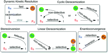 Graphical abstract: Synthesis of enantiomerically pure alcohols and amines via biocatalytic deracemisation methods