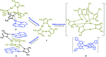 Graphical abstract: Synthesis, structures and luminescence of multinuclear silver(i) pyrazolate adducts with 1,10-phenanthroline derivatives