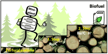 Graphical abstract: Tailor-made biofuel 2-butyltetrahydrofuran from the continuous flow hydrogenation and deoxygenation of furfuralacetone