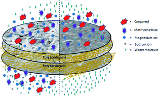 Graphical abstract: In situ assembly of a graphene oxide quantum dot-based thin-film nanocomposite supported on de-mixed blends for desalination through forward osmosis