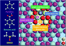 Graphical abstract: Capping experiments reveal multiple surface active sites in CeO2 and their cooperative catalysis