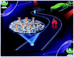 Graphical abstract: The design of a multifunctional separator regulating the lithium ion flux for advanced lithium-ion batteries