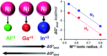 Graphical abstract: Thermodynamic and kinetic studies of H2 and N2 binding to bimetallic nickel-group 13 complexes and neutron structure of a Ni(η2-H2) adduct