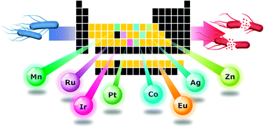 Graphical abstract: Metal complexes as a promising source for new antibiotics