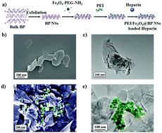 Graphical abstract: A magnetically modified black phosphorus nanosheet-based heparin delivery platform for preventing DVT accurately