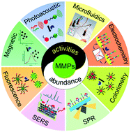 Graphical abstract: Biosensors and bioassays for determination of matrix metalloproteinases: state of the art and recent advances