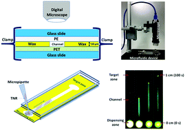 Graphical abstract: Characterization and application of fluidic properties of trinucleotide repeat sequences by wax-on-plastic microfluidics