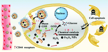 Graphical abstract: Tumor-specific nanomedicine via sequential catalytic reactions for accurate tumor therapy