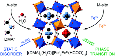 Graphical abstract: Static disorder in a perovskite mixed-valence metal–organic framework