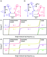 Graphical abstract: Dipole–phonon quantum logic with alkaline-earth monoxide and monosulfide cations