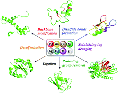 Graphical abstract: Harnessing the power of transition metals in solid-phase peptide synthesis and key steps in the (semi)synthesis of proteins