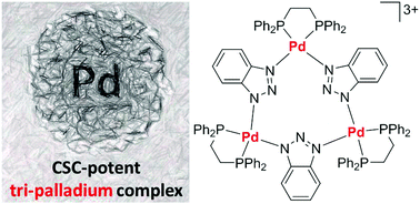 Graphical abstract: A tri-metallic palladium complex with breast cancer stem cell potency