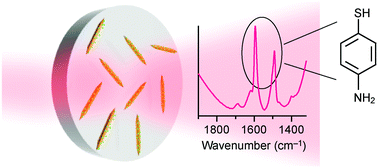 Graphical abstract: Gold nanonails for surface-enhanced infrared absorption