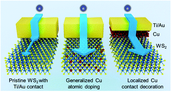 Graphical abstract: Enhanced carrier transport by transition metal doping in WS2 field effect transistors