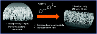 Graphical abstract: Dual-template approach to hierarchically porous polymer membranes