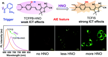 Graphical abstract: An easily available ratiometric AIE probe for nitroxyl visualization in vitro and in vivo