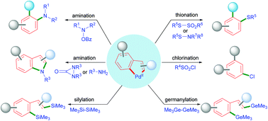 Graphical abstract: C–H hetero-functionalization of arenes through palladacyclopentane-type intermediates