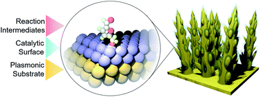 Graphical abstract: Electrochemical biomass valorization on gold-metal oxide nanoscale heterojunctions enables investigation of both catalyst and reaction dynamics with operando surface-enhanced Raman spectroscopy