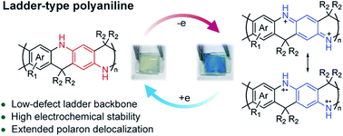 Graphical abstract: Extraordinary electrochemical stability and extended polaron delocalization of ladder-type polyaniline-analogous polymers