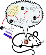 Graphical abstract: Targeted 1,3-dipolar cycloaddition with acrolein for cancer prodrug activation