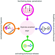 Graphical abstract: Hybrid nanoparticle composites applied to photodynamic therapy: strategies and applications