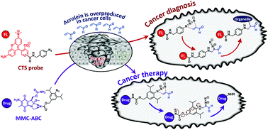 Graphical abstract: Biofunctional chemistry and reactivity of biogenic acrolein for cancer diagnosis and therapy