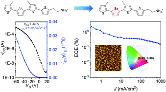 Graphical abstract: A selenophene-containing conjugated organic ligand for two-dimensional halide perovskites