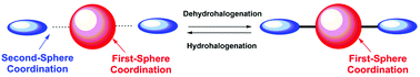 Graphical abstract: Dehydrohalogenation reactions in second-sphere coordination complexes