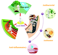 Graphical abstract: Alkali /alkaline earth-based metal–organic frameworks for biomedical applications