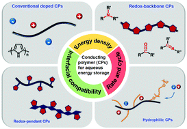 Graphical abstract: Emerging polymer electrodes for aqueous energy storage