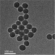 Graphical abstract: Inhibition of cardiomyocyte apoptosis post-acute myocardial infarction through the efficient delivery of microRNA-24 by silica nanoparticles