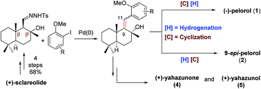 Graphical abstract: A modular strategy for the synthesis of marine originated meroterpenoid-type natural products