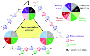 Graphical abstract: Backbone and side chain-linker tunability among dithiocarbamate, ester and amide in sequence-defined oligomers: synthesis and structure–property–function relationship